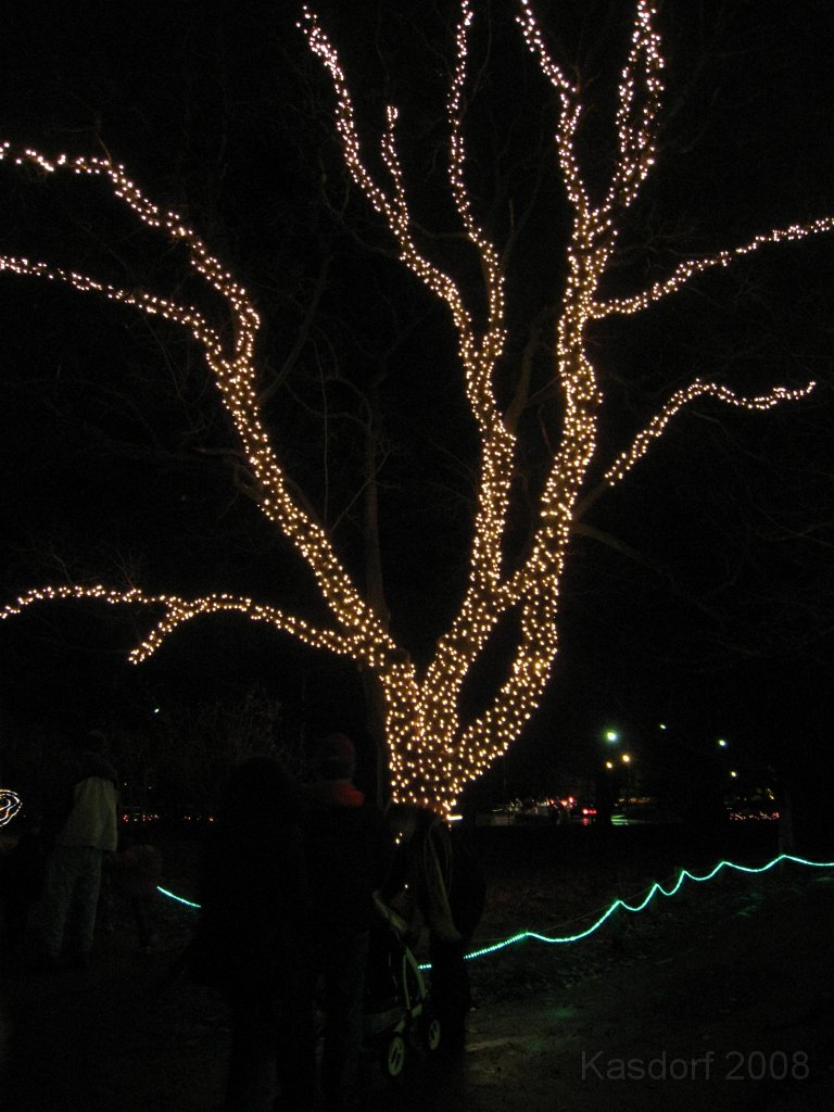 Toledo Zoo Lights 2008 053.jpg - The regular visit to the Toledo Ohio Zoo to see the Christmas Lights displays. New this trip were the "Dancing Lights", displays flashing in time with the Christmas Songs.